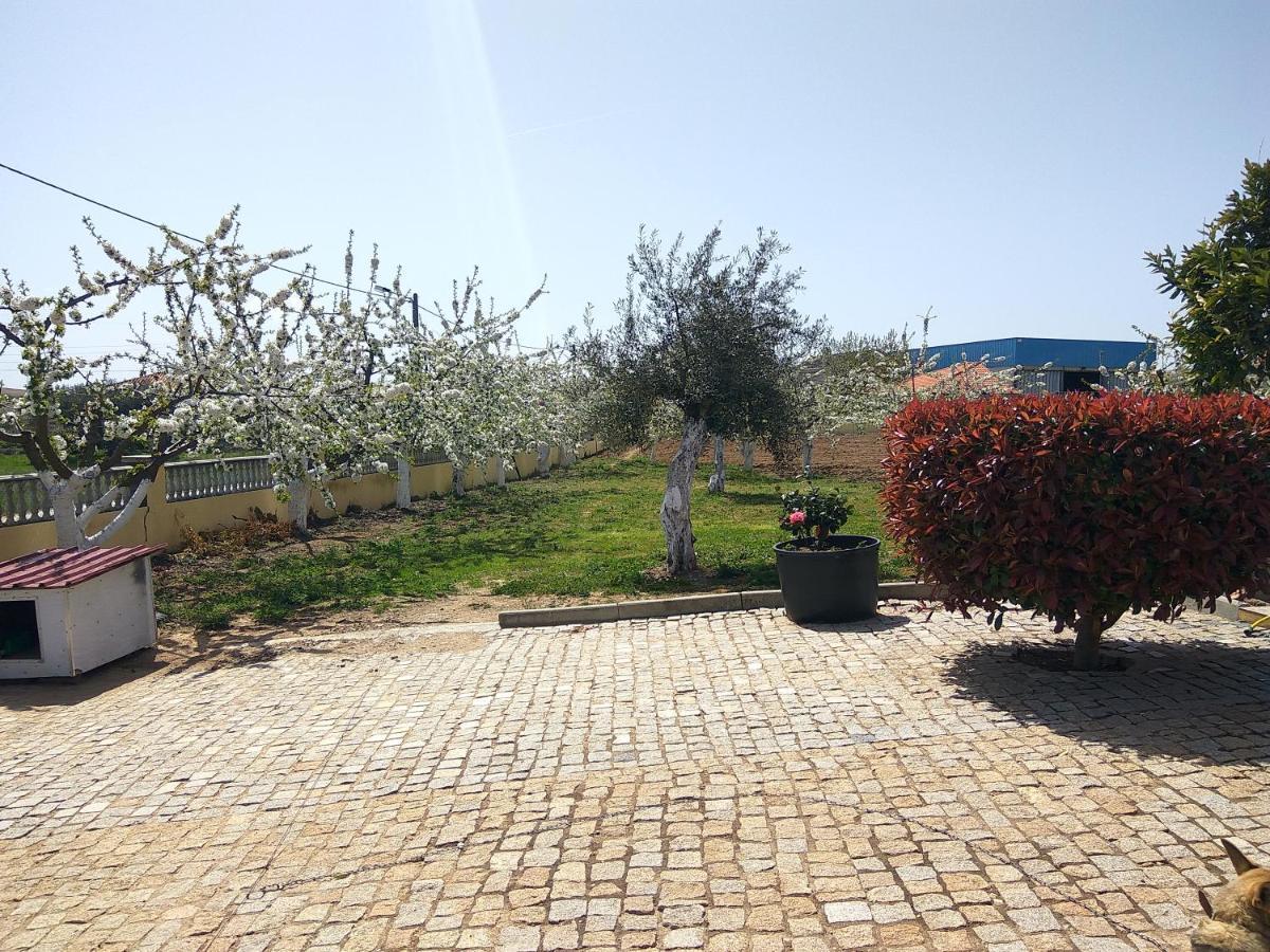 Joaquim Do Norte Podence Dış mekan fotoğraf